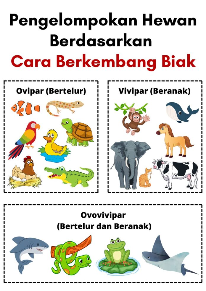 Apa Peran Hewan dalam PerkembangbApa Peran Hewan dalam Perkembangbiakan Tumbuhan? Penjelasan Lengkap Beserta Contohnyaiakan Tumbuhan? Penjelasan Lengkap Beserta Contohnya